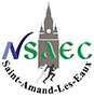 Logo NSAEC