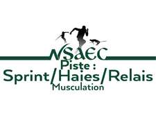 Sprint/haies/relais/musculation